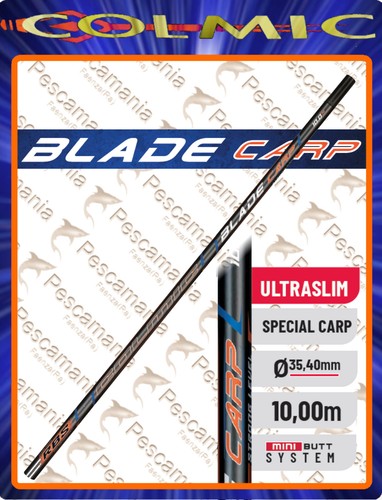 Canna roubaisienne colmic - canna,