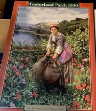 Lotto di 2 grandi puzzle: 1500