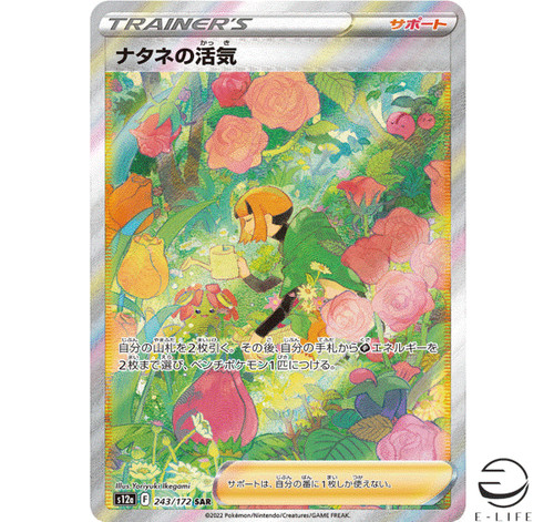 Gardenia vigor sar - gardenia's, 243/172