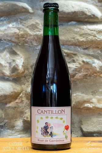 Rose gambrinus framboise - rose, de