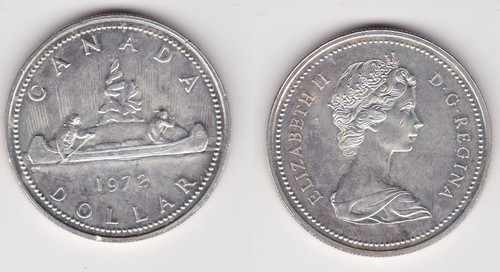 Moneta argento dollaro - argento,