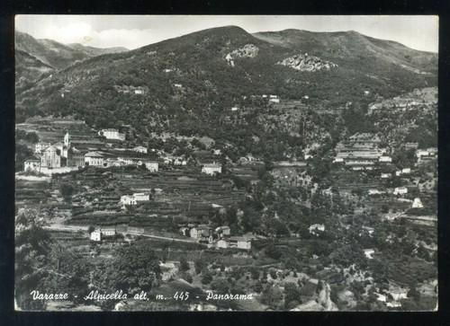 Varazze alpicella - -,