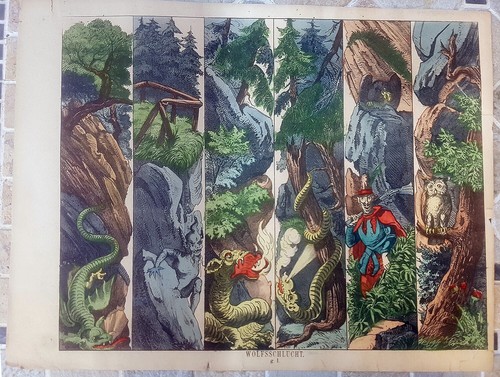 Stampa antica wolfsschlucht