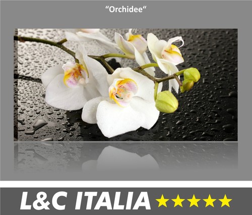Orchidee quadro moderno stampa - orchidee,
