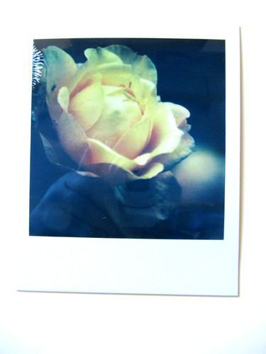 Araki polaroid originale - araki:,