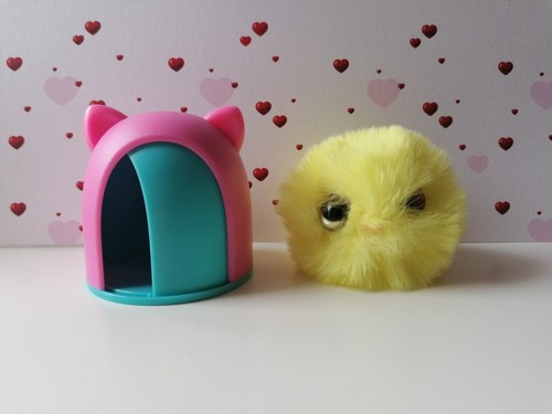 Sbabam cuty - cuty, pon