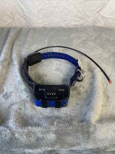 Garmin dc50 gps collare - garmin,