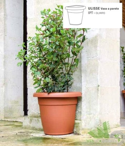 Vaso fiori semicerchio muro - vaso,