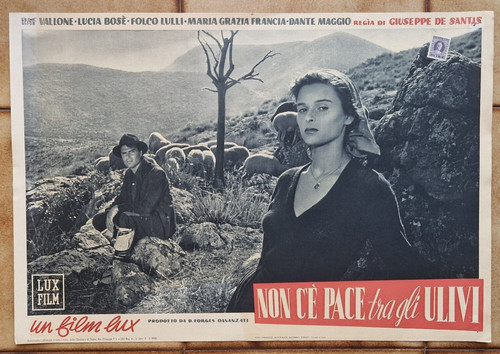 Non pace tra gli ulivi - tra,