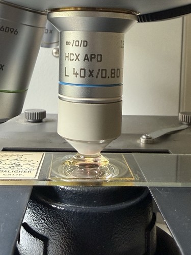 Leica obiettivo microscopio - obiettivo,