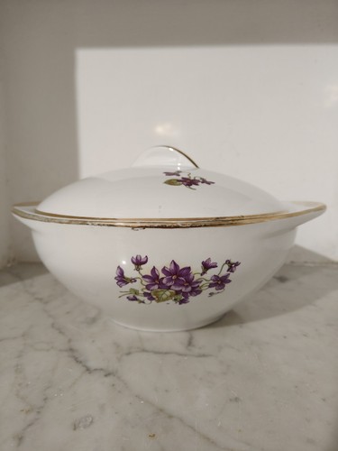 Zuppiera società ceramica - società,
