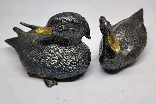 Coppia anatre argentate - coppia,