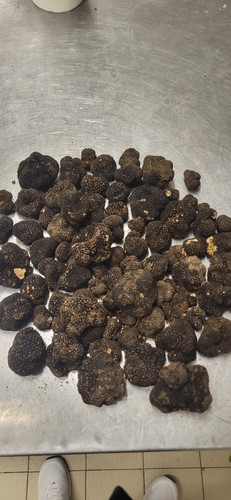 Tartufo nero fresco 100gr - fresco, 100gr.-