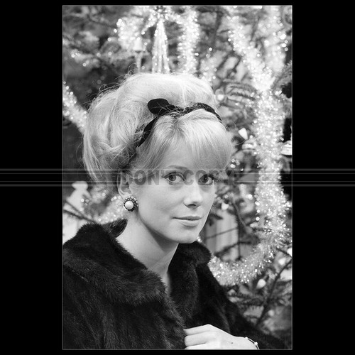 Photo 003864 catherine - photo,