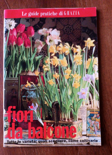 Fiori balcone 14 - fiori,