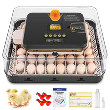 Incubatrici Automatica per 56