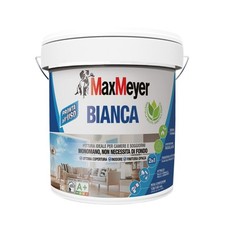 MaxMeyer Bianca, Pittura per