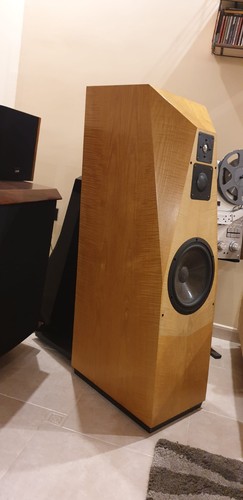 Avalon ascent mkii casse - ascent,