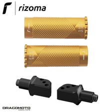 pioli SNAKE Kawasaki Ninja 600