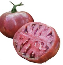 Cherokee purple tomato - cherokee,