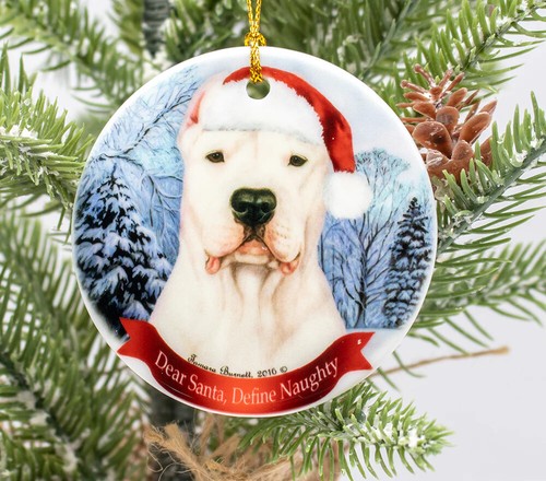 Assorted dogo argentino - assorted,