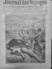 1870 1879 Polipo Grande Combat