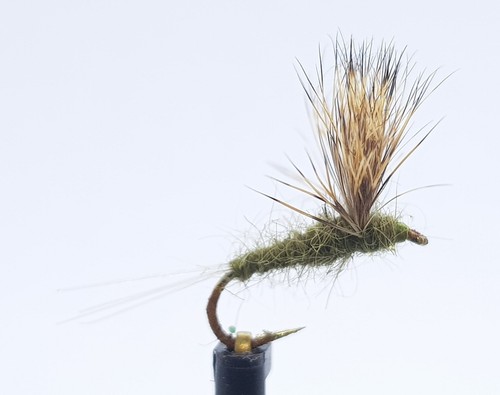 Galleggiante pesca trota - , olive