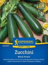ZUCCHINE RAMPICANTI " Foresta