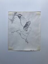 Disegno Fiore Danimarca Ole