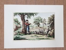 Litografia Pastore e armenti Costume Roma Bartolomeo Pinelli Anno 1809 Ristampa
