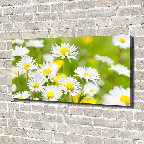Leinwandbild kunst druck - leinwandbild, kunst-druck