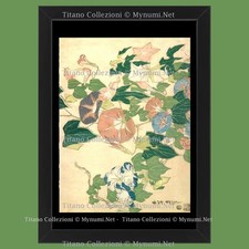 2010 (1833) * Illustrazione Originale "Katsushika Hokusai - Morning Glories and