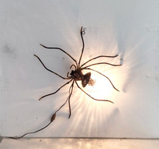 Lampada ragno da parete ferro rame battuto vetro anni 50