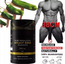 1x Confezione Pura Gomma Shilajit Himalayana Immune Ashwagandha Chaga Fungo 2025