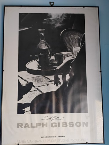 Stampa foto ralph gibson - stampa, da
