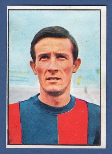 Figurina calciatori panini - figurina,