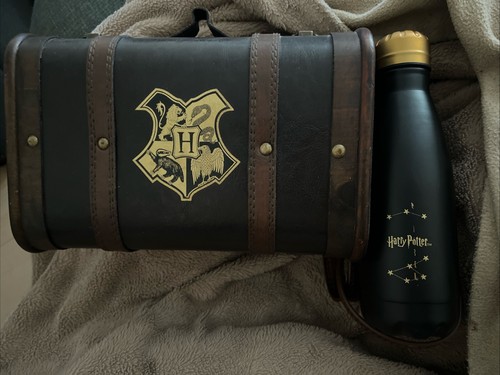 Harry potter mini school trunk - harry,