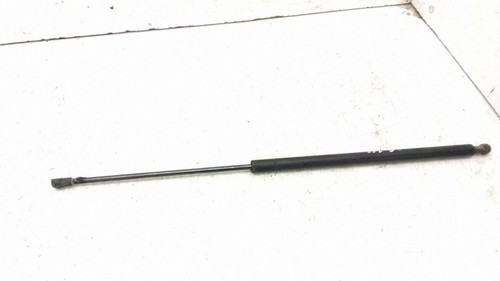 Molla gas ammortizzatore - gas,