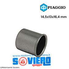 Boccola Guscio Carter