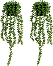 2 Pezzi Pianta Sospesa Grasse