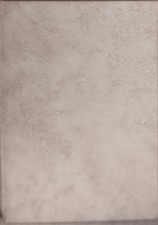 torino roux e favale 1880