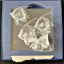 Swarovski Crystal Wonders of