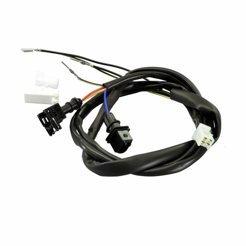 Cablaggio centralina ecu - centralina,