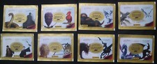 8 bustine di figurine Creature Magiche Harry Potter | Wizarding World | A Panini