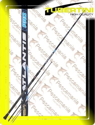 Canna tubertini atlantis pro - tubertini, x