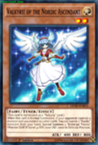 Valkyrie the nordic - the,