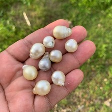 9 pezzi perle dei mari del sud