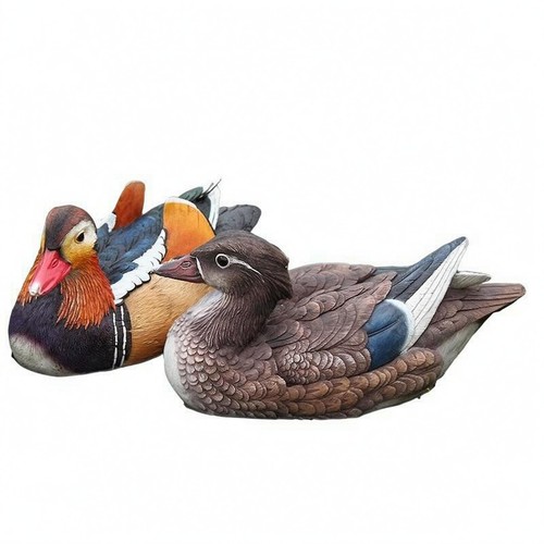 Coppia anatre mandarine - di,