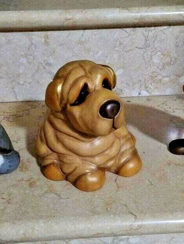 Cane razza sharpei thun - sharpei,