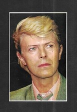 RARE / CARTE POSTALE - DAVID